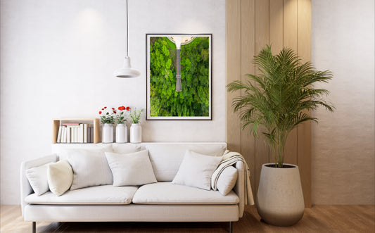 Forest Sky Pier, Orara East State Forest - Coffs Harbour Nsw