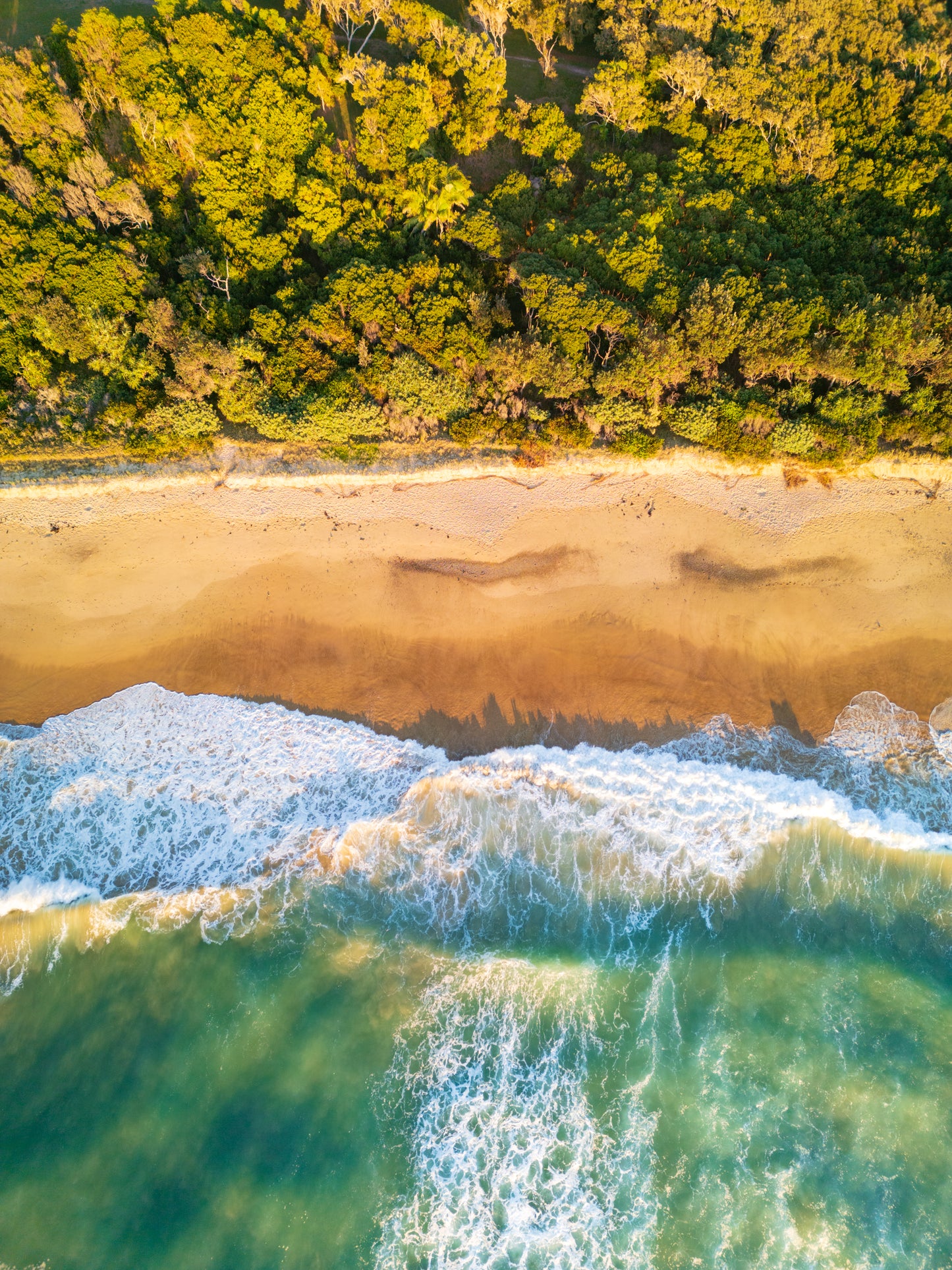 Coffs Coast Shoreline