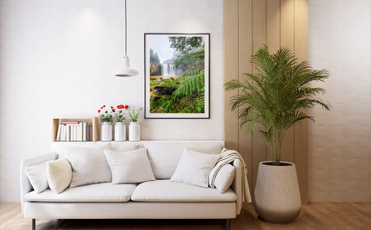 Dangar Falls Dorrigo Nsw